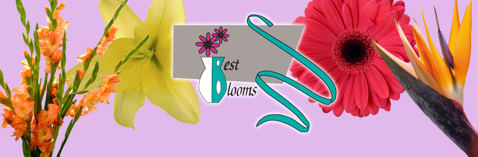 /7-billboard-featured/50